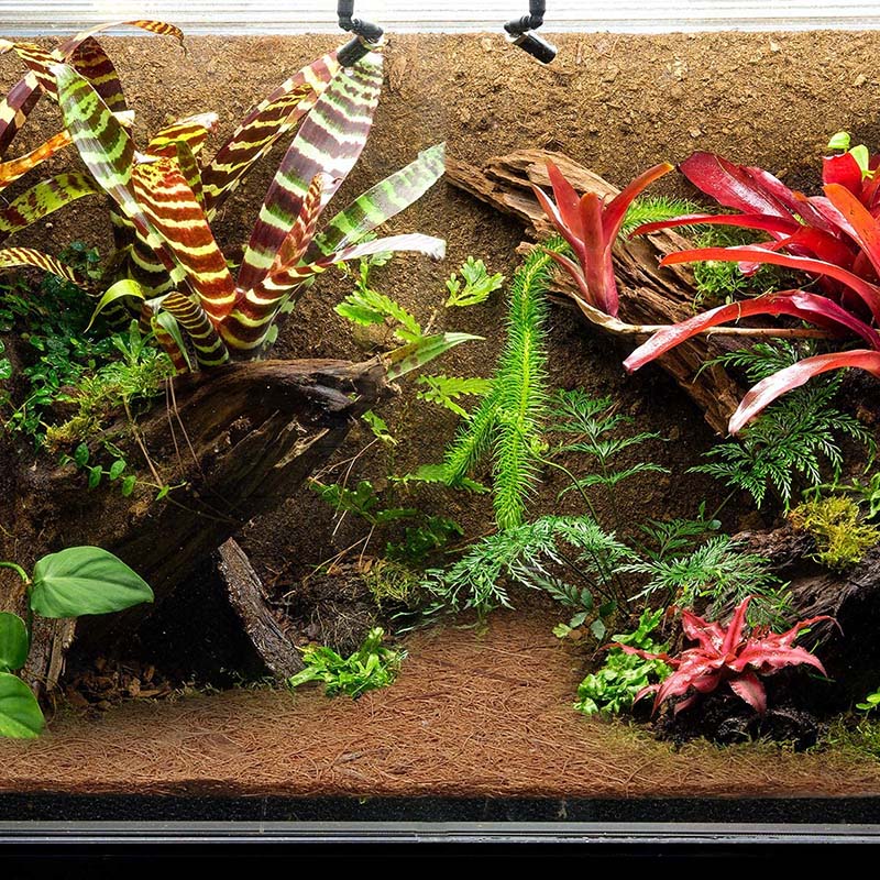 AT21-Natuurlijke Kokosvezelmat - Substrate Coconut Fiber recensie en prijs