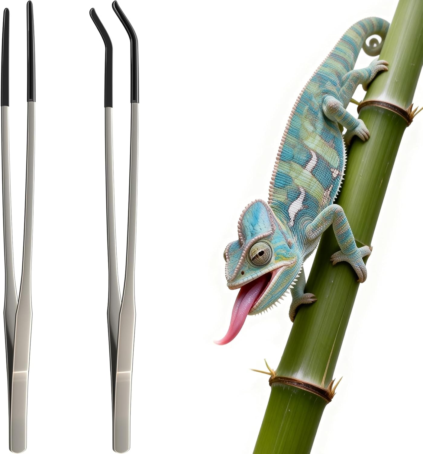 2 stuks extra lange roestvrijs - Feeding Tong Stainless recensie en prijs